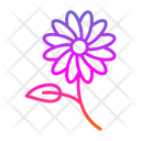 پیش‌نمایش فایل daisies-9501172 از پک باغبانی