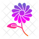 پیش‌نمایش فایل daisies-9501220 از پک باغبانی
