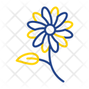 پیش‌نمایش فایل daisies-9501267 از پک باغبانی