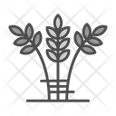 پیش‌نمایش فایل crop-9501437 از پک باغبانی