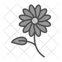 پیش‌نمایش فایل daisies-9501420 از پک باغبانی