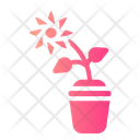 پیش‌نمایش فایل plant-pot-7988775 از پک بهار