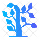 پیش‌نمایش فایل tree-branch-7988783 از پک بهار