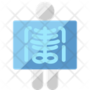 پیش‌نمایش فایل x-ray-7165887 از پک سلامتی