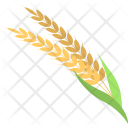 پیش‌نمایش فایل barley-ears از پک پاییز