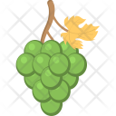 پیش‌نمایش فایل grapes-105 از پک پاییز