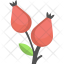 پیش‌نمایش فایل rose-hips از پک پاییز