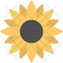 پیش‌نمایش فایل sunflower-100 از پک پاییز