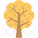 پیش‌نمایش فایل tree-593 از پک پاییز