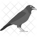پیش‌نمایش فایل crow-10 از پک هالووین ۱