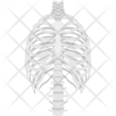 پیش‌نمایش فایل skeleton-ribs از پک هالووین ۱