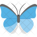 پیش‌نمایش فایل butterfly-317 از پک بچه و کودک