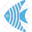 پیش‌نمایش فایل angelfish از پک اقیانوس و آبزیان