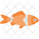 پیش‌نمایش فایل fish-506 از پک اقیانوس و آبزیان