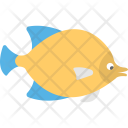 پیش‌نمایش فایل fish-509 از پک اقیانوس و آبزیان