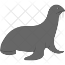 پیش‌نمایش فایل harbor-seal-1 از پک اقیانوس و آبزیان