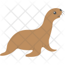 پیش‌نمایش فایل harbor-seal از پک اقیانوس و آبزیان