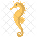 پیش‌نمایش فایل seahorse-6 از پک اقیانوس و آبزیان