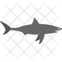 پیش‌نمایش فایل shark-40 از پک اقیانوس و آبزیان