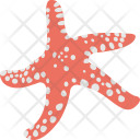 پیش‌نمایش فایل starfish-34 از پک اقیانوس و آبزیان