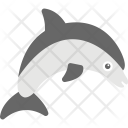 پیش‌نمایش فایل dolphin-48 از پک اقیانوس و آبزیان – شماره ۲