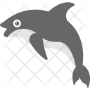 پیش‌نمایش فایل dolphin-49 از پک اقیانوس و آبزیان – شماره ۲
