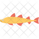 پیش‌نمایش فایل northern-pike از پک اقیانوس و آبزیان – شماره ۲
