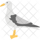 پیش‌نمایش فایل pigeon-12 از پک اقیانوس و آبزیان – شماره ۲