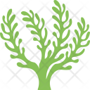 پیش‌نمایش فایل seaweed-3 از پک اقیانوس و آبزیان – شماره ۲
