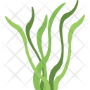 پیش‌نمایش فایل seaweed-4 از پک اقیانوس و آبزیان – شماره ۲