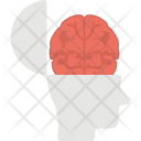 پیش‌نمایش فایل human-brain-4 از پک هوش مصنوعی – شماره ۲