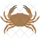 پیش‌نمایش فایل crab-60 از پک طالع‌بینی و عددشناسی و مطالعه نخل