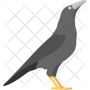 پیش‌نمایش فایل crow-19 از پک Animals And Birds 