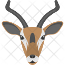 پیش‌نمایش فایل gazelles از پک Animals And Birds 