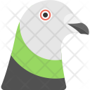 پیش‌نمایش فایل pigeon-20 از پک Animals And Birds 