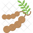 پیش‌نمایش فایل tamarind-5 از پک مجموعه آیکن تخت غذا – شماره ۲