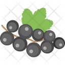 پیش‌نمایش فایل black-currant از پک مجموعه آیکن تخت غذا – شماره ۱
