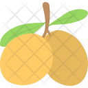 پیش‌نمایش فایل plum-28 از پک مجموعه آیکن تخت غذا – شماره ۱