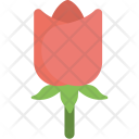 پیش‌نمایش فایل rose-bud از پک عشق و عاشقی ۱