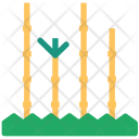 پیش‌نمایش فایل bamboo-45 از پک مجموعه آیکن طبیعت و محیط‌زیست