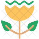 پیش‌نمایش فایل botanic-1 از پک مجموعه آیکن طبیعت و محیط‌زیست