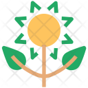 پیش‌نمایش فایل botanic از پک مجموعه آیکن طبیعت و محیط‌زیست