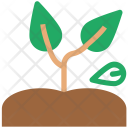 پیش‌نمایش فایل plant-535 از پک مجموعه آیکن طبیعت و محیط‌زیست
