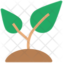 پیش‌نمایش فایل leafs-13 از پک مجموعه آیکن طبیعت و محیط‌زیست