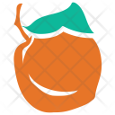 پیش‌نمایش فایل apricot-29 از پک مجموعه آیکن رنگی غذا