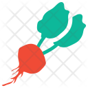 پیش‌نمایش فایل radish-beat-2 از پک مجموعه آیکن رنگی غذا