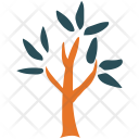 پیش‌نمایش فایل generic-tree-15 از پک مجموعه آیکن رنگی درختان