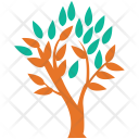 پیش‌نمایش فایل leafy-tree از پک مجموعه آیکن رنگی درختان