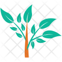 پیش‌نمایش فایل plant-537 از پک مجموعه آیکن رنگی درختان