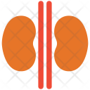 پیش‌نمایش فایل kidney-56 از پک مجموعه آیکن رنگی پزشکی